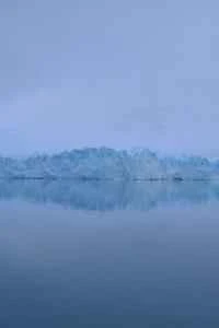 What is Danfoss like? Danfoss reviews and website information.