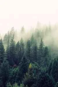 How is Yamagata Prefectural University of Health and Medical Sciences? Reviews and website information for Yamagata Prefectural University of Health and Medical Sciences.