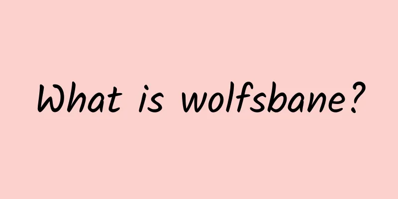 What is wolfsbane?
