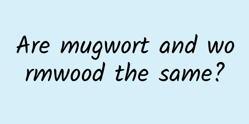 Are mugwort and wormwood the same?