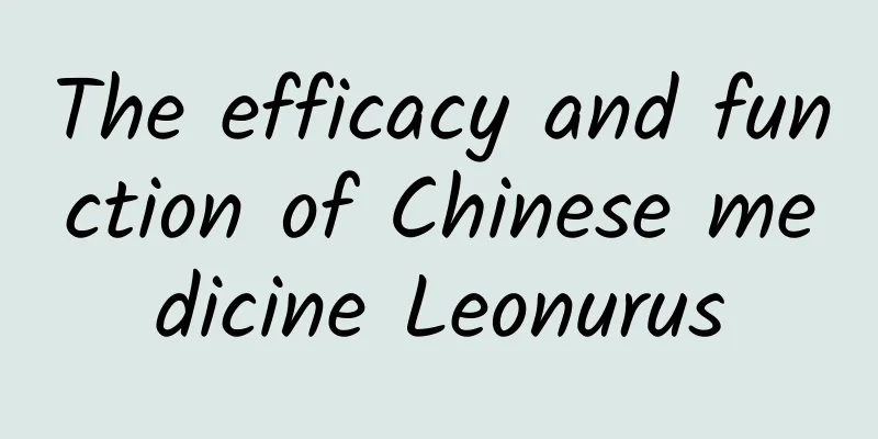 The efficacy and function of Chinese medicine Leonurus