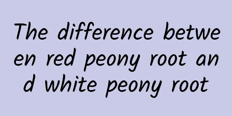 The difference between red peony root and white peony root