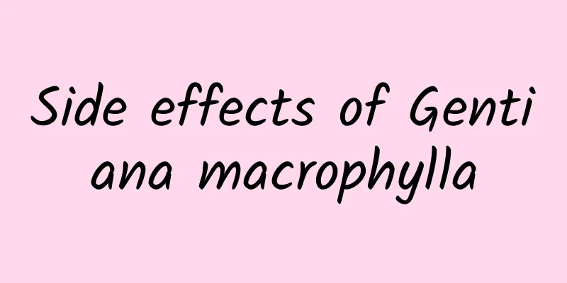 Side effects of Gentiana macrophylla