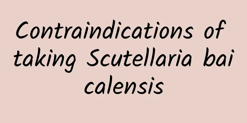 Contraindications of taking Scutellaria baicalensis