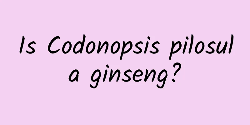 Is Codonopsis pilosula ginseng?
