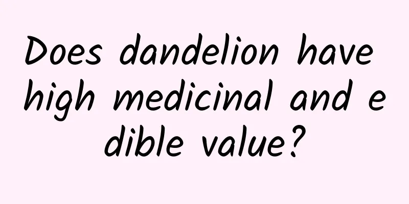Does dandelion have high medicinal and edible value?