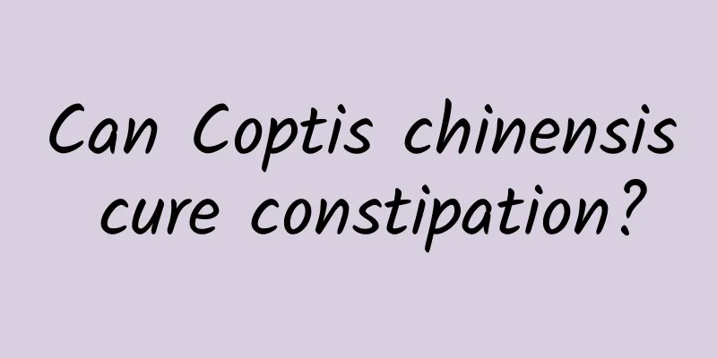 Can Coptis chinensis cure constipation?