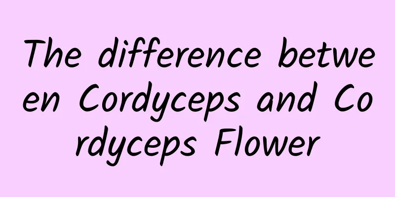 The difference between Cordyceps and Cordyceps Flower