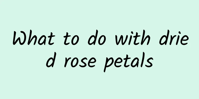What to do with dried rose petals