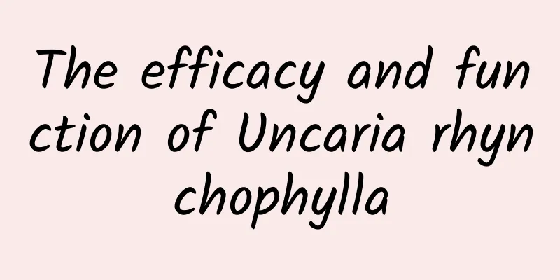 The efficacy and function of Uncaria rhynchophylla