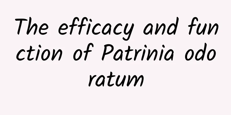 The efficacy and function of Patrinia odoratum