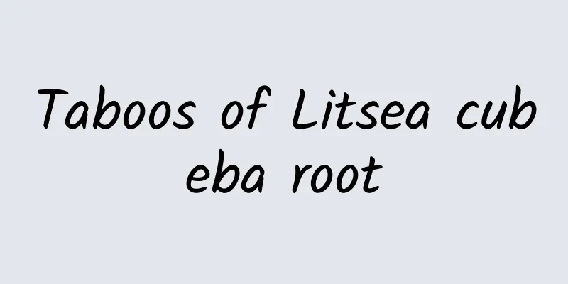 Taboos of Litsea cubeba root