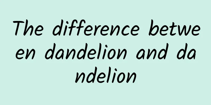 The difference between dandelion and dandelion