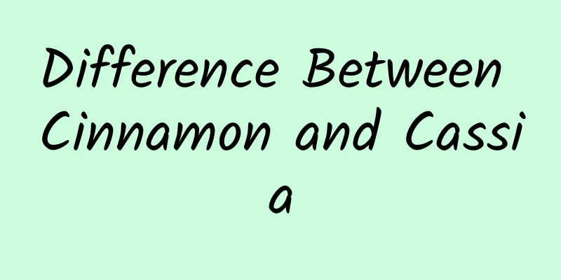 Difference Between Cinnamon and Cassia