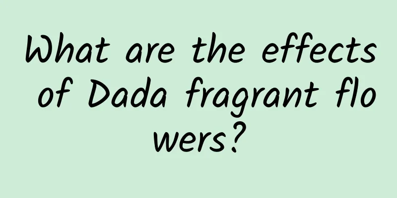 What are the effects of Dada fragrant flowers?
