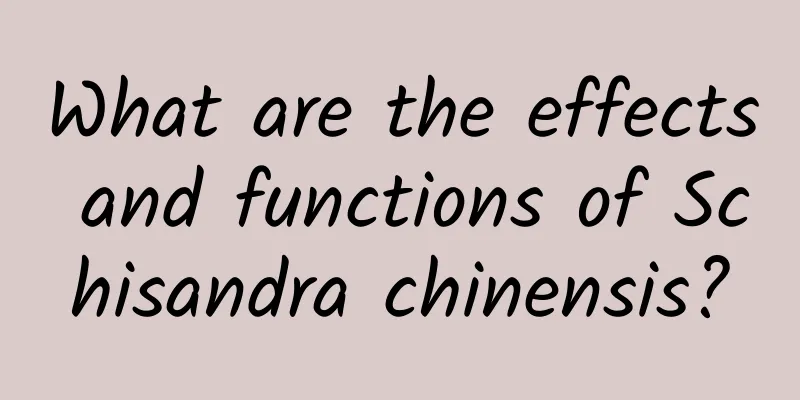 What are the effects and functions of Schisandra chinensis?