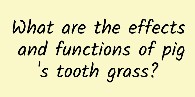 What are the effects and functions of pig's tooth grass?