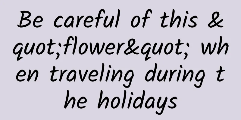 Be careful of this "flower" when traveling during the holidays