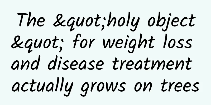 The "holy object" for weight loss and disease treatment actually grows on trees