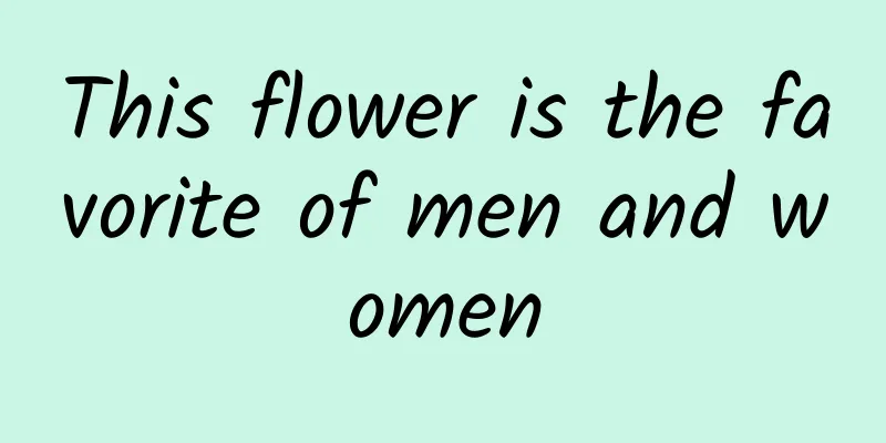 This flower is the favorite of men and women