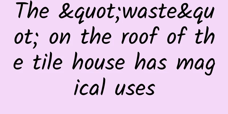 The "waste" on the roof of the tile house has magical uses