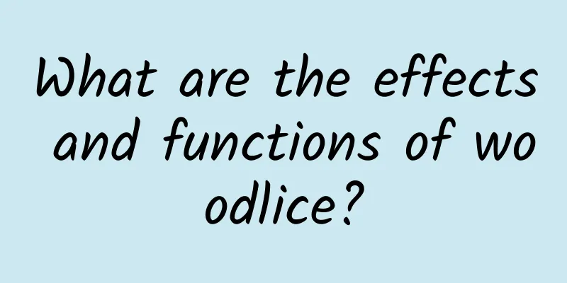 What are the effects and functions of woodlice?