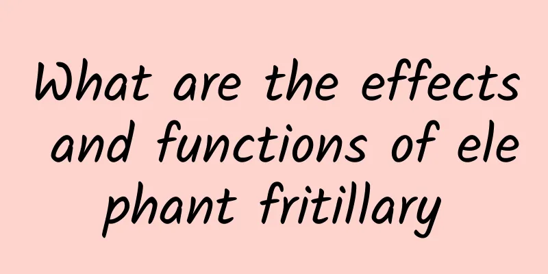 What are the effects and functions of elephant fritillary