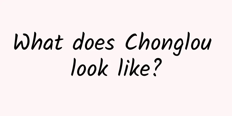 What does Chonglou look like?