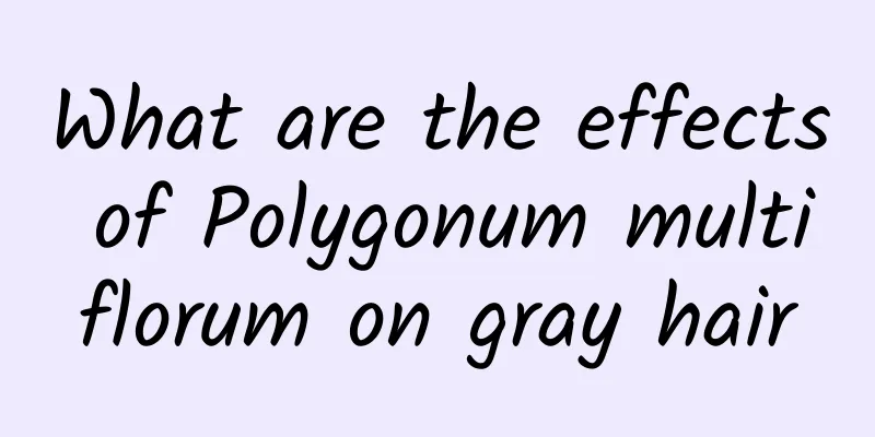 What are the effects of Polygonum multiflorum on gray hair
