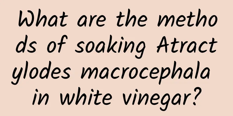 What are the methods of soaking Atractylodes macrocephala in white vinegar?