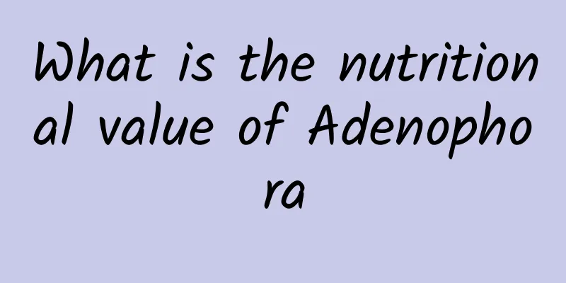What is the nutritional value of Adenophora