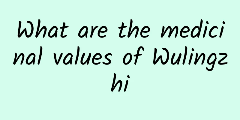 What are the medicinal values ​​of Wulingzhi