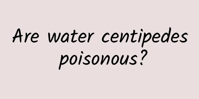 Are water centipedes poisonous?