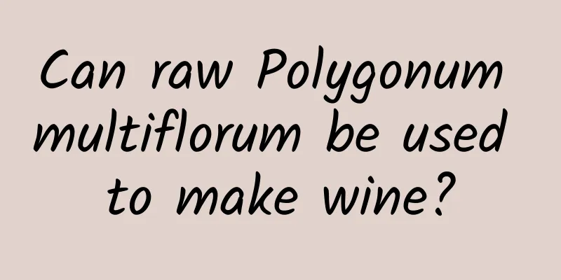 Can raw Polygonum multiflorum be used to make wine?