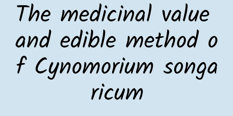 The medicinal value and edible method of Cynomorium songaricum