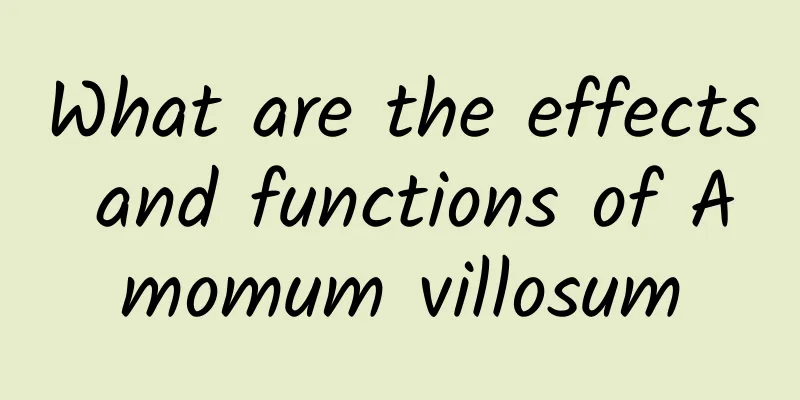 What are the effects and functions of Amomum villosum