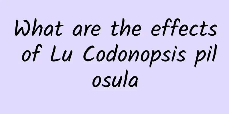 What are the effects of Lu Codonopsis pilosula