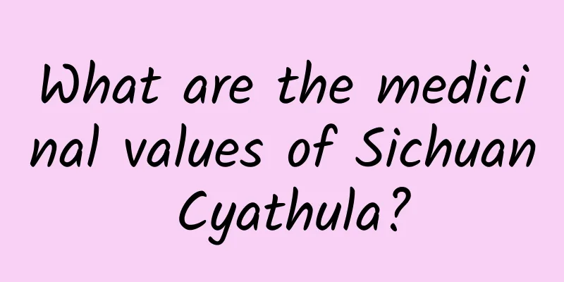What are the medicinal values ​​of Sichuan Cyathula?