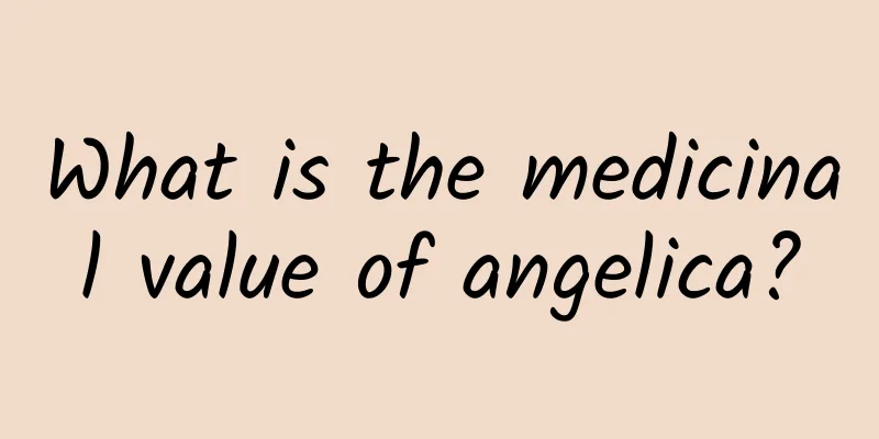 What is the medicinal value of angelica?