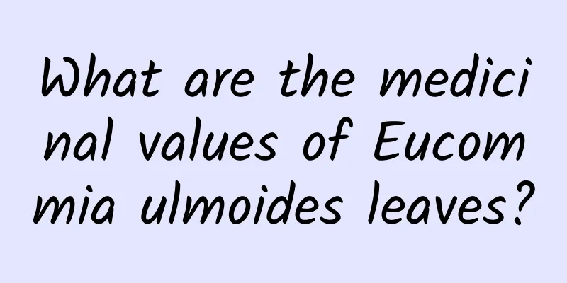 What are the medicinal values ​​of Eucommia ulmoides leaves?