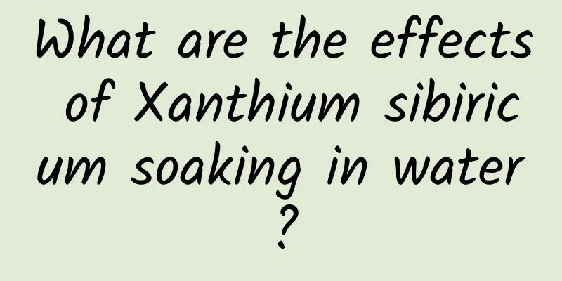 What are the effects of Xanthium sibiricum soaking in water?