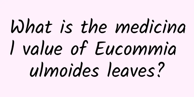 What is the medicinal value of Eucommia ulmoides leaves?