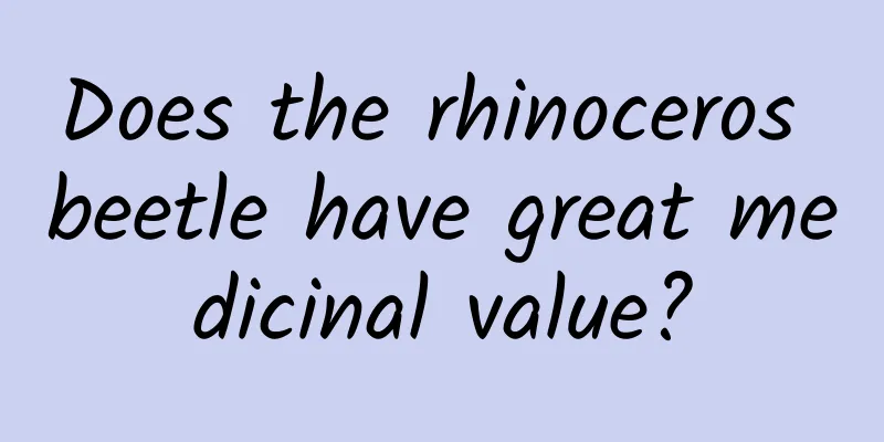 Does the rhinoceros beetle have great medicinal value?