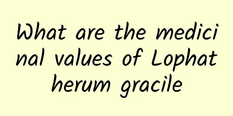 What are the medicinal values ​​of Lophatherum gracile