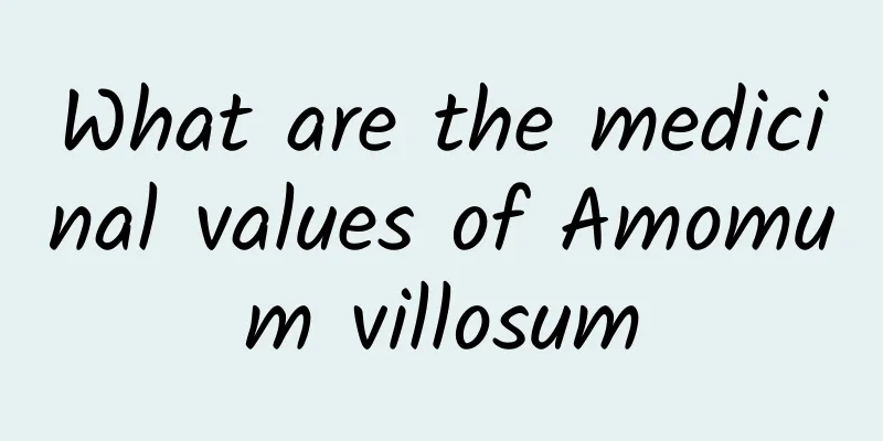 What are the medicinal values ​​of Amomum villosum