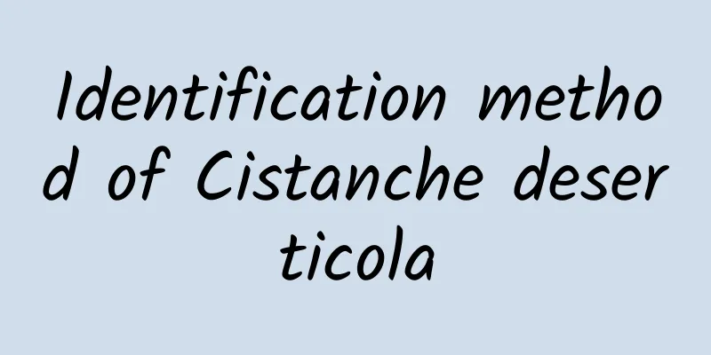 Identification method of Cistanche deserticola