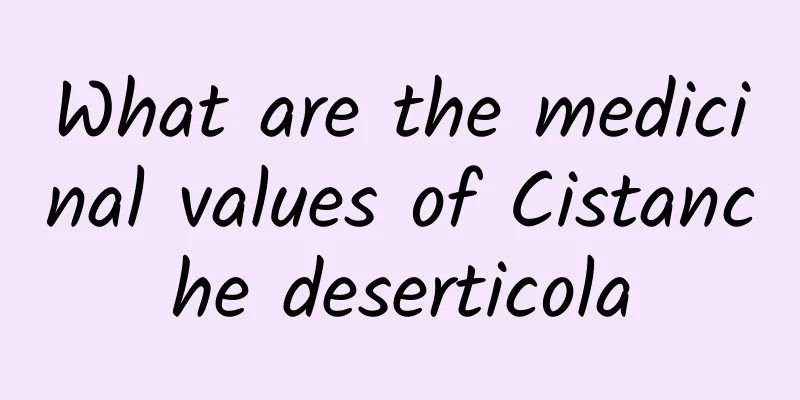 What are the medicinal values ​​of Cistanche deserticola