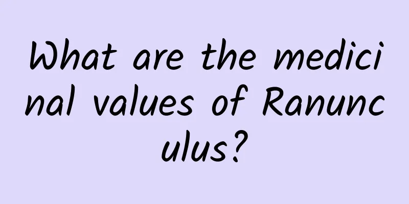 What are the medicinal values ​​of Ranunculus?