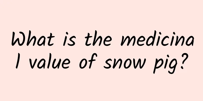 What is the medicinal value of snow pig?