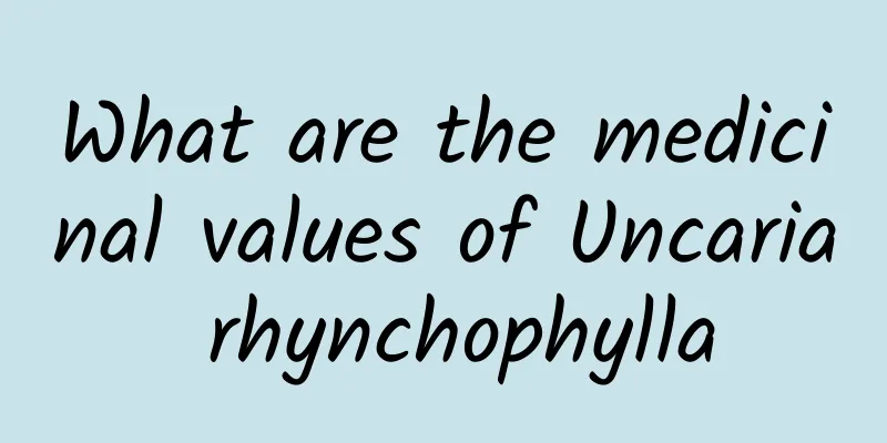 What are the medicinal values ​​of Uncaria rhynchophylla